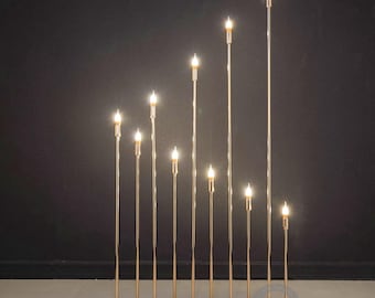 Set of 2 | 10-Head Golden Reed Led Lights,Led stand,Wedding stand