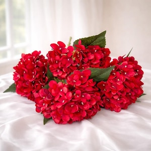 May include: A collection of vivid red hydrangea flowers with green foliage. The flowers are fully open, displaying their detailed petal structure. The image is a close-up, emphasising the rich colour and texture of the blooms.