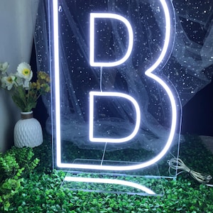 3 LETTERS /99 Dollars - 24″ Tall Neon Letter 【Please note the letters you want】