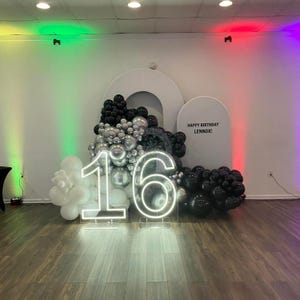 41″ Tall Number Neon Sign,Larger Light Up Number,Baby Shower【0～9】