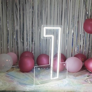 24″ Tall Number Neon Sign,Large Light Up Numbers,Letter Neon Sign