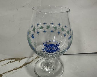 Preciosa copa de cerveza Blue Owl Brewing Austin Sour