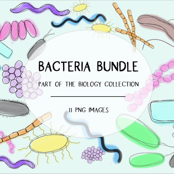 Bacteria Clip Art Bundle - Biology Clip Art Collection