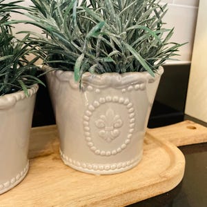 May include: Two grey ceramic pots with a decorative design, each containing a green plant. The pots are sitting on a wooden chopping board.