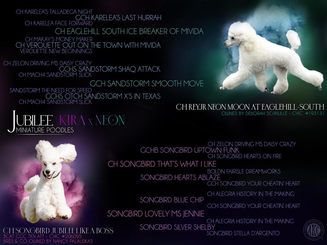 Custom Dog Pedigree Banner: Dog Breeder Advertising Graphics - Etsy