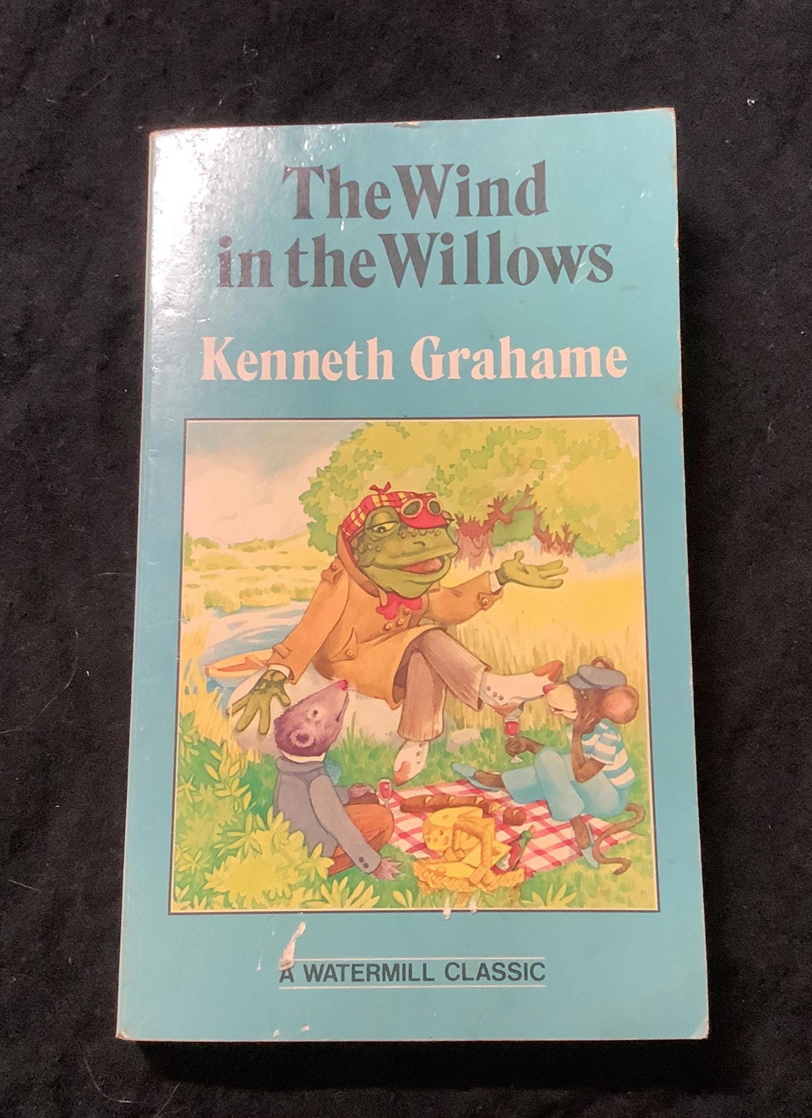 Wind in the Willows 1980 Vintage Paperback Kenneth Grahame Watermill ...
