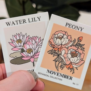 May include: Two botanical illustrations on white cards with pink and white flowers. The top card features a water lily with the text "WATER LILY". The bottom card features a peony with the text "PEONY" and "NOVEMBER BOTANICAL COLLECTION No. 11".