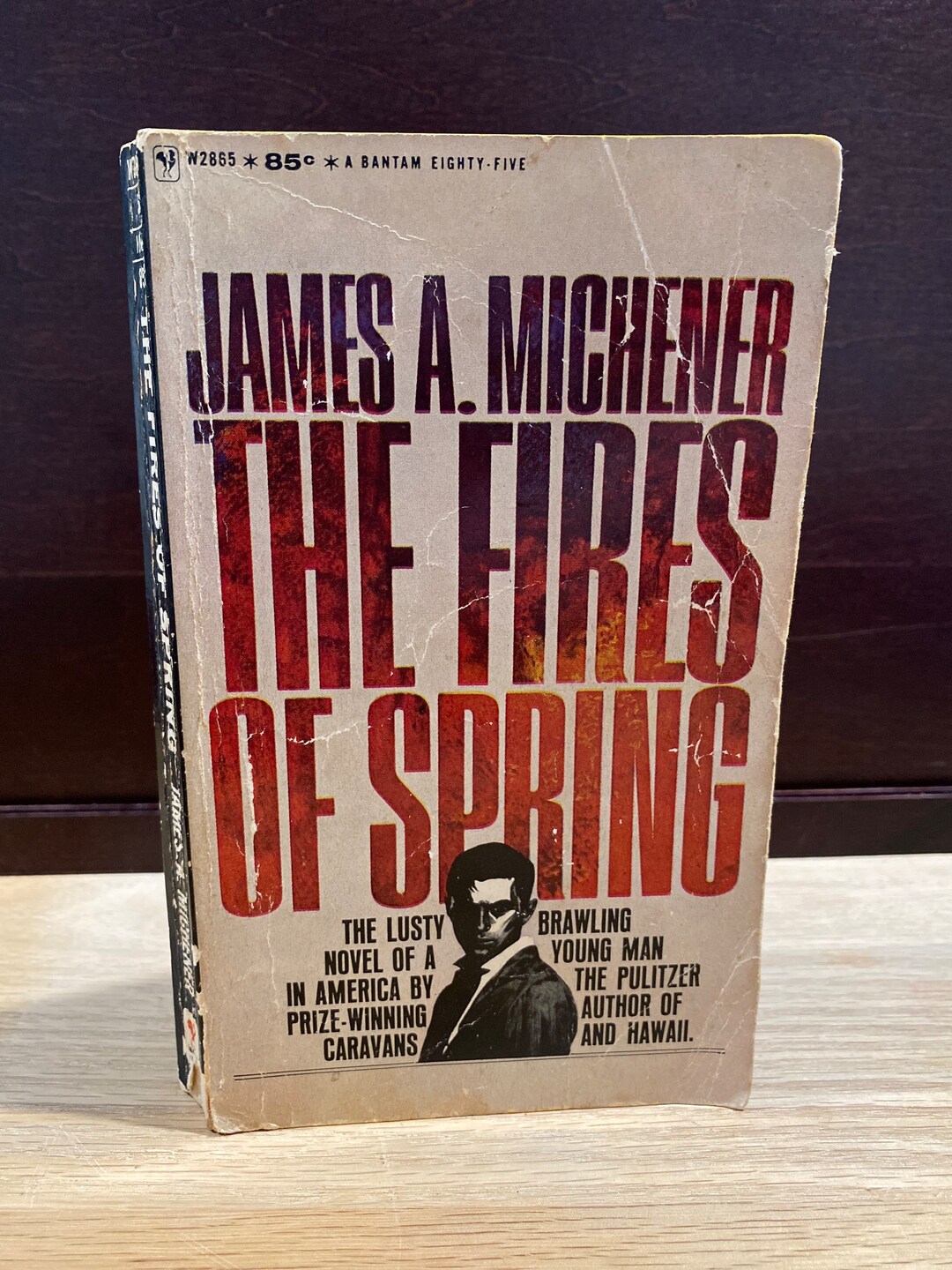 The fires of spring by james a michener 1964 bantam paperback etsy