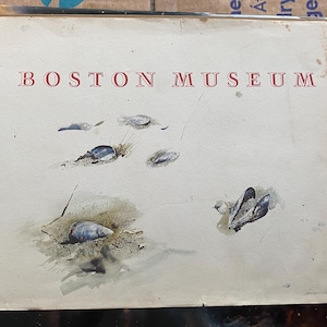May include: A vintage book cover with the text "BOSTON MUSEUM" in red letters. The cover features a watercolor illustration of seashells and sand. The artwork is signed in the lower right corner.