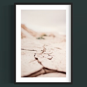 Digital Print Borrego Colored , Desert Wall Decor, Wall Decor Print