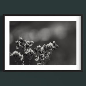 Digital Print Floral Black and White