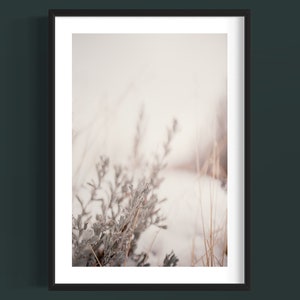 Kaysville Gekleurde Print