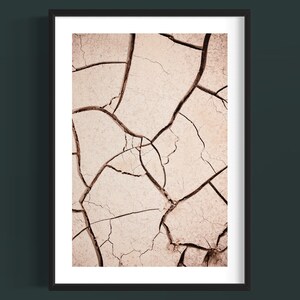 Borrego Colored Digital Print, Desert Wall Decor, Landscape,  Wall Decor Print