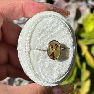 Op de afbeelding: Een zilveren ring met een lichtbruine ovale edelsteen in het midden. De edelsteen heeft rode en witte insluitsels. De ring wordt gepresenteerd in een wit fluwelen ringdoosje.
