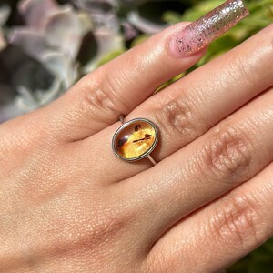 Op de afbeelding: Een zilveren ring met een gele ovale amber steen gezet in een bezel setting.