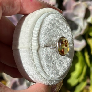 Op de afbeelding: Een zilveren ring met een ronde amber steen erin gezet. De steen heeft een natuurlijke insluiting van een klein blaadje. De ring wordt getoond in een witte fluwelen ringdoos.