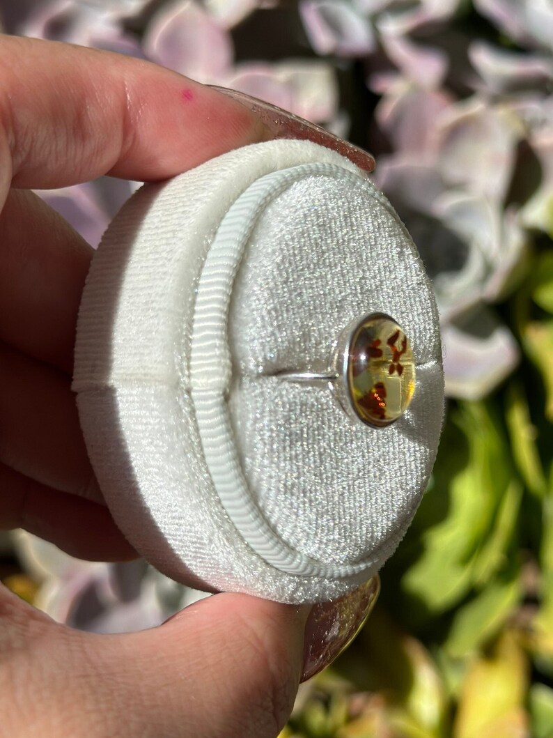 Op de afbeelding: Een zilveren ring met een ronde amber steen erin gezet. De steen heeft een natuurlijke insluiting van een klein blaadje. De ring wordt getoond in een witte fluwelen ringdoos.