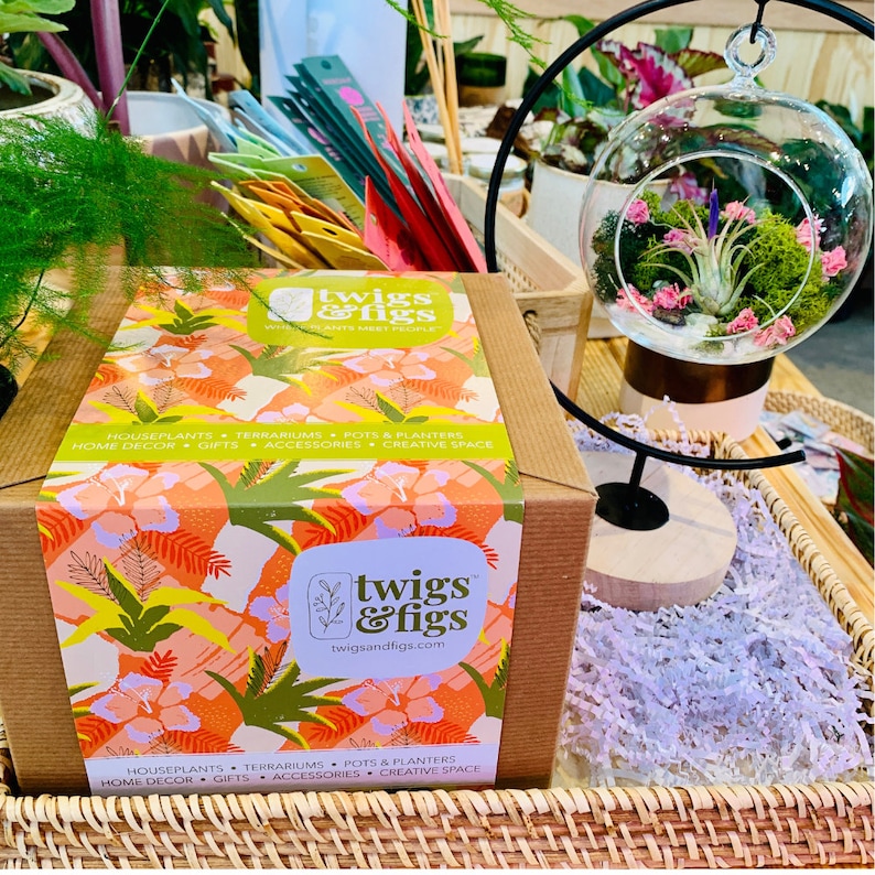 DIY Terrarium Gift Box Air Plant Terrarium Kit Etsy