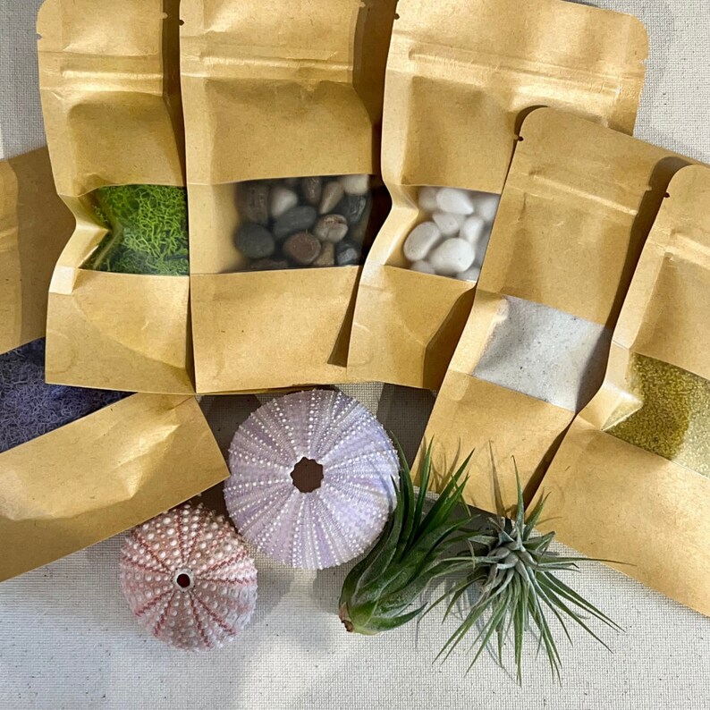 DIY Terrarium Gift Box Air Plant Terrarium Kit Etsy