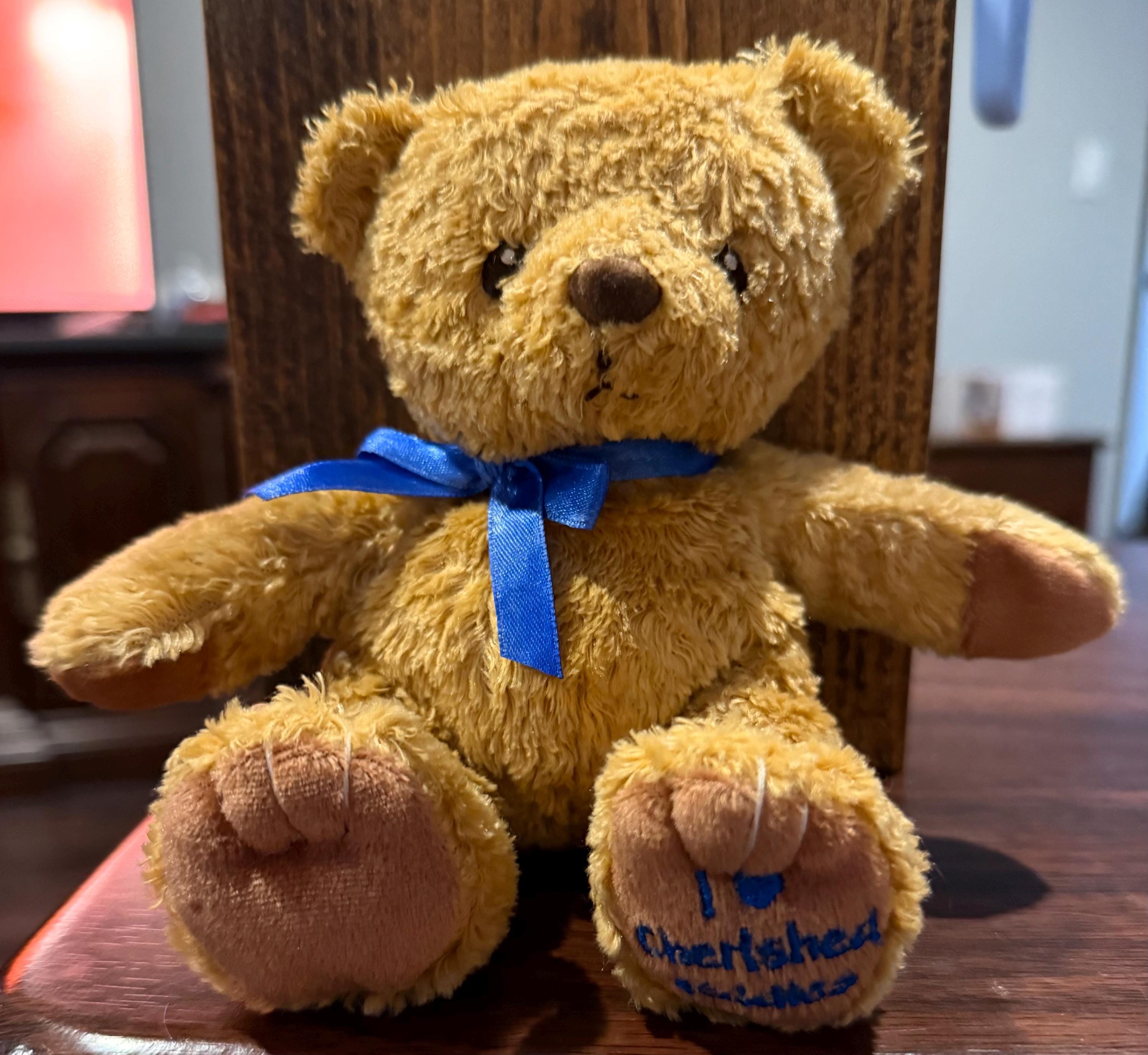 Vintage Teddy Bear With Blue Ribbon - Etsy