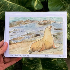 Fine Art Card “Sea Lions La Jolla CA&quot; San Diego Artist Handmade Watercolor Card High Quality Card Comes in 1, 3, 5, 8, & 10 Pack