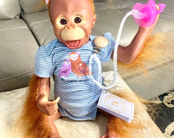 Baby Girl Orangutan di L'Arianne Harris