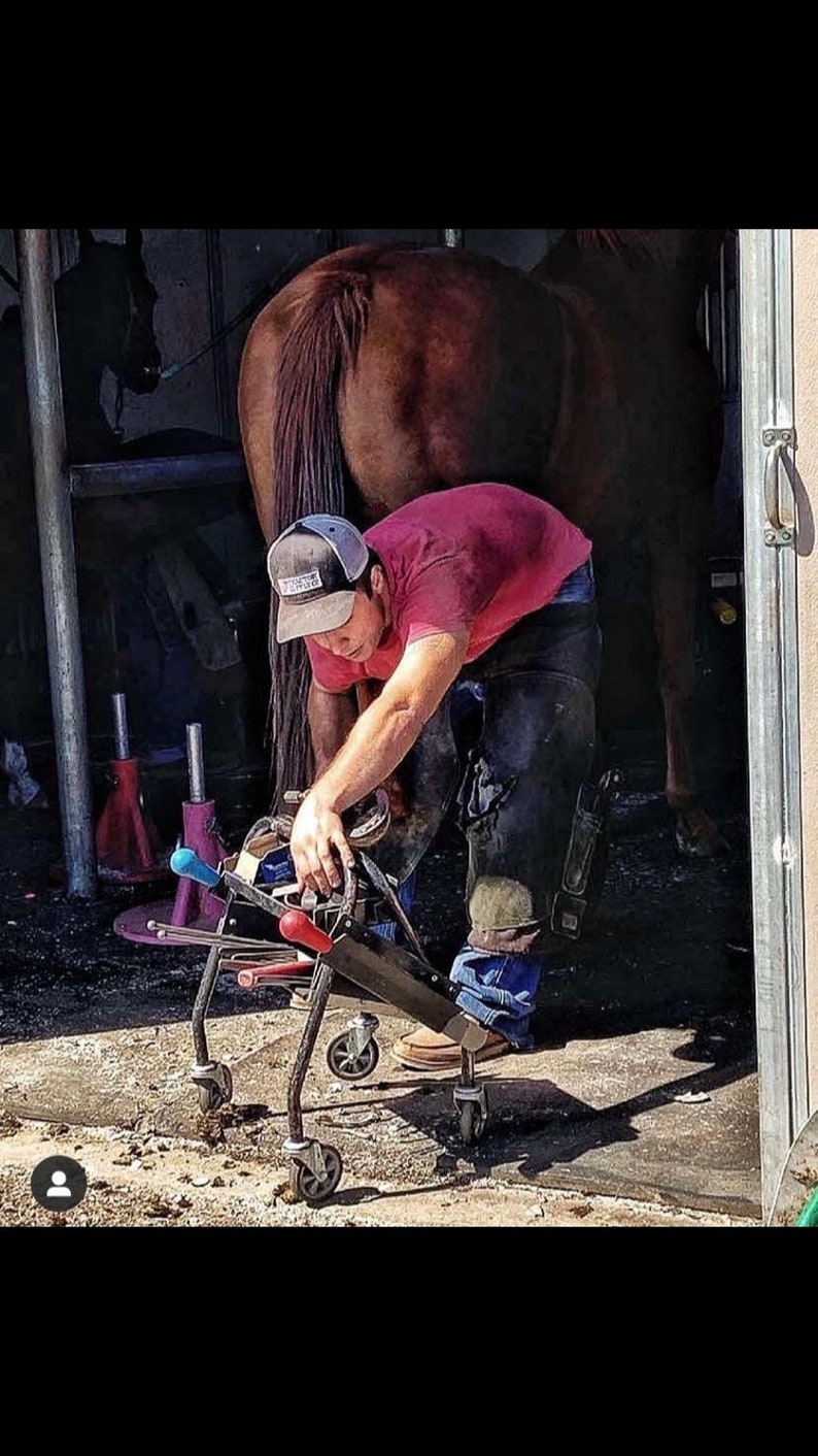 20 Professionally Used Old Horseshoes Etsy