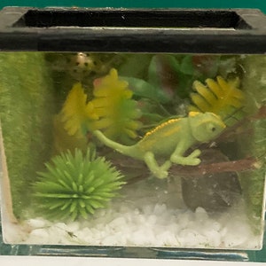 Dollhouse Iguana | Dollhouse Chameleon | Dollhouse Snake | Miniature Pet Lizard | Dollhouse Pets | Dollhouse Animals | 1:12 scale