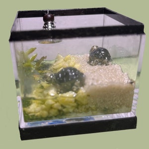 Dollhouse Turtle Tank | Miniature Pets | Dollhouse Aquarium | Miniature Pets | Dollhouse Animals| Miniature Terrarium | 1:12 Scale