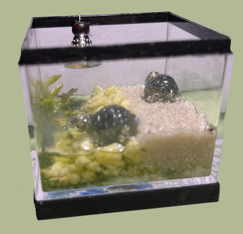 Dollhouse Turtle Tank Miniature Pets Dollhouse Aquarium Miniature Pets Dollhouse Animals Miniature Terrarium 1:12 Scale image 1