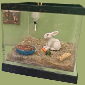 Dollhouse Pet Rabbit in Cage or Tank | Dollhouse Bunny | Miniature Rabbit | Miniature Pets | Dollhouse Pets | Dollhouse Animals | 1:12 scale