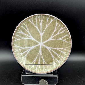 Jill Pryke Plate Spirograph Green Oatmeal like Glaze