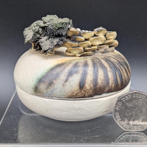 May include: A ceramic jar with a lid, featuring a unique design. The jar is primarily white with a brown and black striped pattern on the lower half. The lid has a textured, green and gray element and a small, tan brick-like structure.
