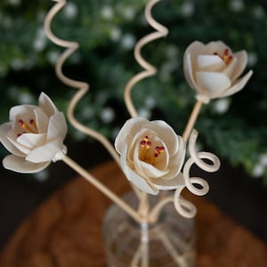 Könnte beinhalten: Eine klare Glasvase enthält ein Blumenarrangement aus cremefarbenen Blüten mit roten und gelben Zentren. Die Blüten bestehen aus geschichteten Blütenblättern und befinden sich auf dünnen Stielen. Zwei Stiele haben dekorative Spiralakzente.