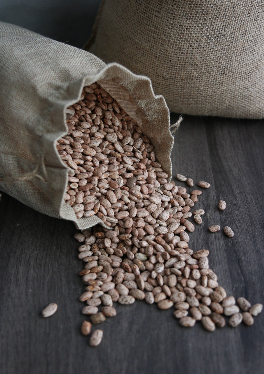 Fresh Pinto Beans Dry Bulk 10lbs, NONGMO Etsy