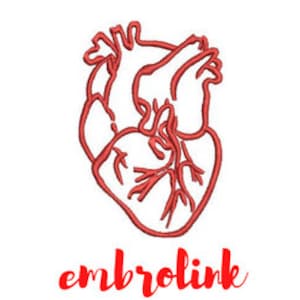 Minimalist human heart embroidery design anatomical heart machine embroidery pattern medical valentine redwor
