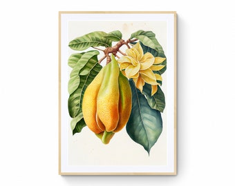 Jackfruit Fruit Wall Art, Fruit Printable Art, Jackfruit Print, Fruit Market Print, Fruit Illustration, Jackfruit Gift, Kitchen Décor