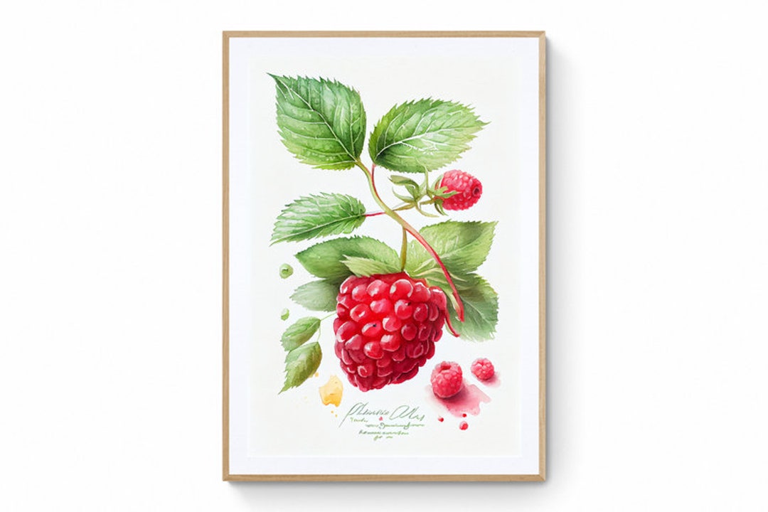 Raspberry Fruit Wall Art, Fruit Printable Art, Raspberry Print, Fruit ...