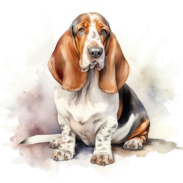 Basset Hound Dog Clipart, 10 High Quality JPGs, Digital Download- Card Making, Mixed Media, Digital Paper Craft Watercolor 300DPI