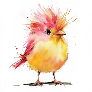 Paquete de imágenes prediseñadas de pájaros caprichosos / 15 ilustraciones divertidas de pájaros en formato JPG / 300 DPI / Aves de acuarela peculiares para manualidades e imprimibles