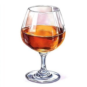 16 Clipart di bicchieri da cognac / Illustrazioni eleganti di bevande al whisky e brandy / Download digitale ad alta risoluzione
