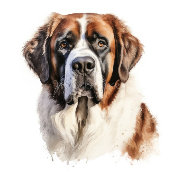 St Bernard Dog Clipart, 12 High Quality JPGs | 300 DPI Digital Prints | Digital Download, Wall Art, Mugs, Scrapbook, Commercial Use