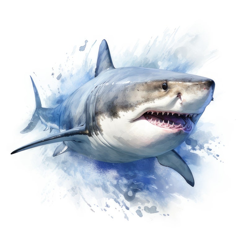 May include: A watercolor painting of a great white shark with its mouth open, showing its sharp teeth. The shark is swimming through the water, creating a splash of blue and white.