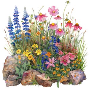 Clipart de flores silvestres en acuarela: 15 archivos JPG de alta calidad, arte floral botánico, scrapbooking, descarga digital inspirada en la naturaleza