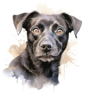 Patterdale Terrier Clipart, 12 High Quality JPGs | 300 DPI Digital Prints | Digital Download, Wall Art, Mugs, Scrapbook, Commercial Use