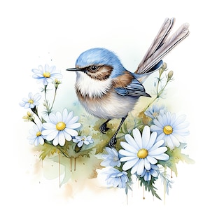 12 wunderschöne Superb Fairy Wren Vögel mit Blumen Aquarell Clipart | Hochauflösende JPG-Bilder | 300 DPI | Digitaler Download