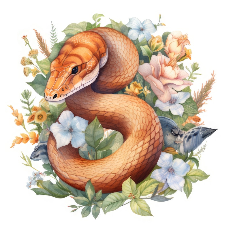Copperhead Snake With Flowers Clipart 11 High Quality Images Etsy
