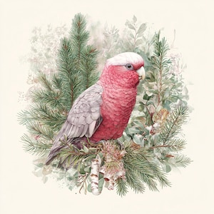 Australian Wildlife Watercolor Clipart Bundle, Wombat, Swamp Wallaby, Galah Bird, Kangaroo – 12 JPG Images (Digital Download)