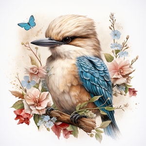 5 Kookaburra Vogel PNGs Clipart, Vogel Blumen PNG, Vogel Aquarell, australischer Vogel Digitaler Download Kartenherstellung, digitales Papiermodell