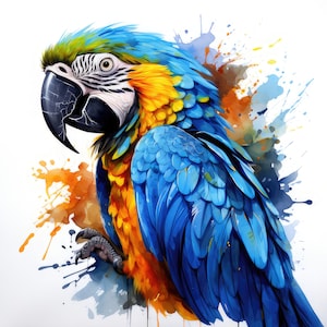 Blue Parrot Clipart, 12 High Quality JPGs | 300 DPI Digital Prints | Digital Download, Wall Art, Mugs, Scrapbook, Commercial Use